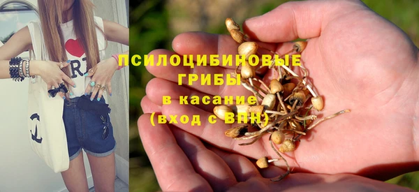 Альфа ПВП Балабаново